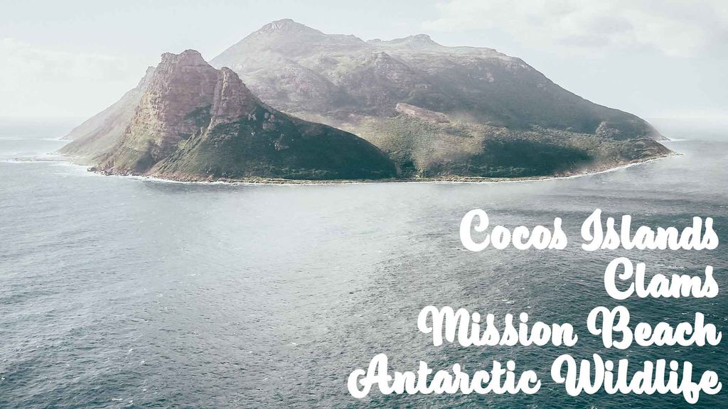 Cocos Islands, Clams, Mission Beach, Antartic Wildlife