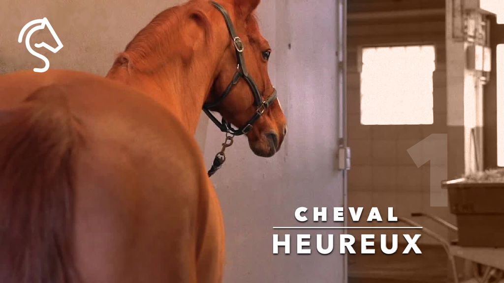 Cheval Heureux S1 E1