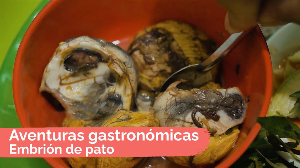 Aventuras gastronómicas: Embrión de pato