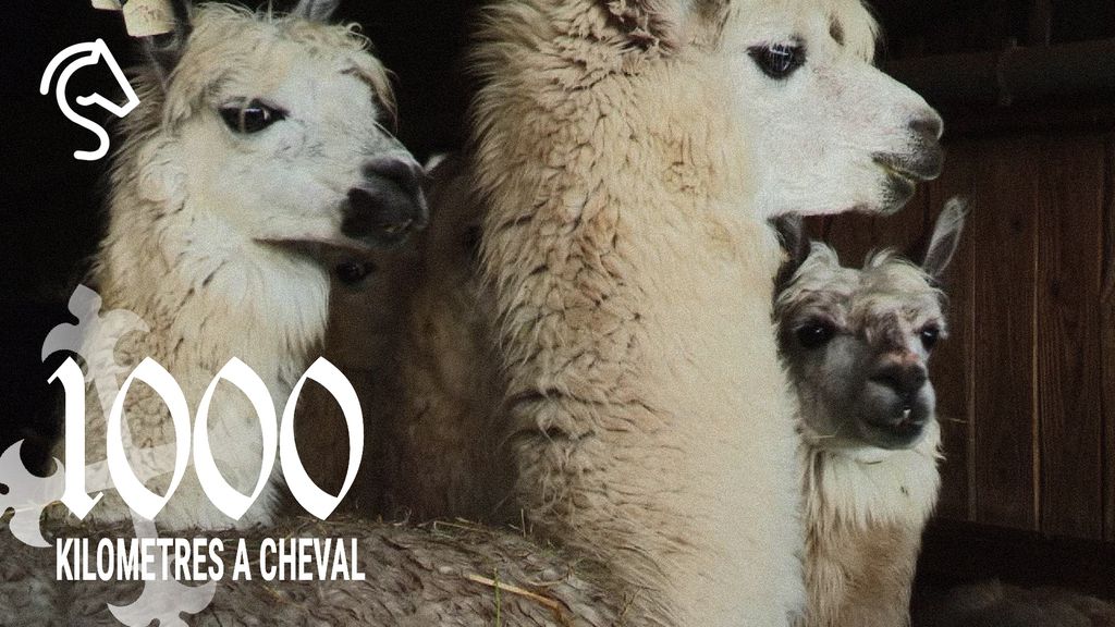 1000 Kilomètres à Cheval - Saison 1 | Épisode 08