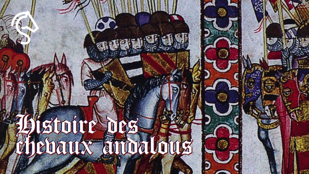 Les Chevaux Andalous - L'Ecole Royale
 Andalouse d'Art Equestre