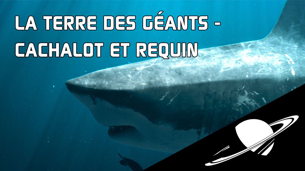 La Terre des Géants - S01 E03 - Cachalot et Requin