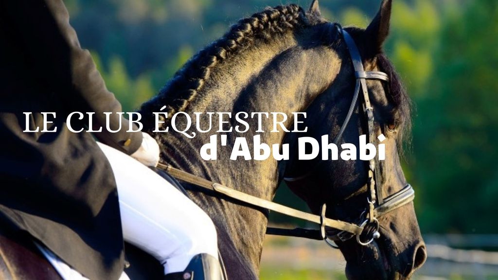 Club Equestre d'Abu Dhabi