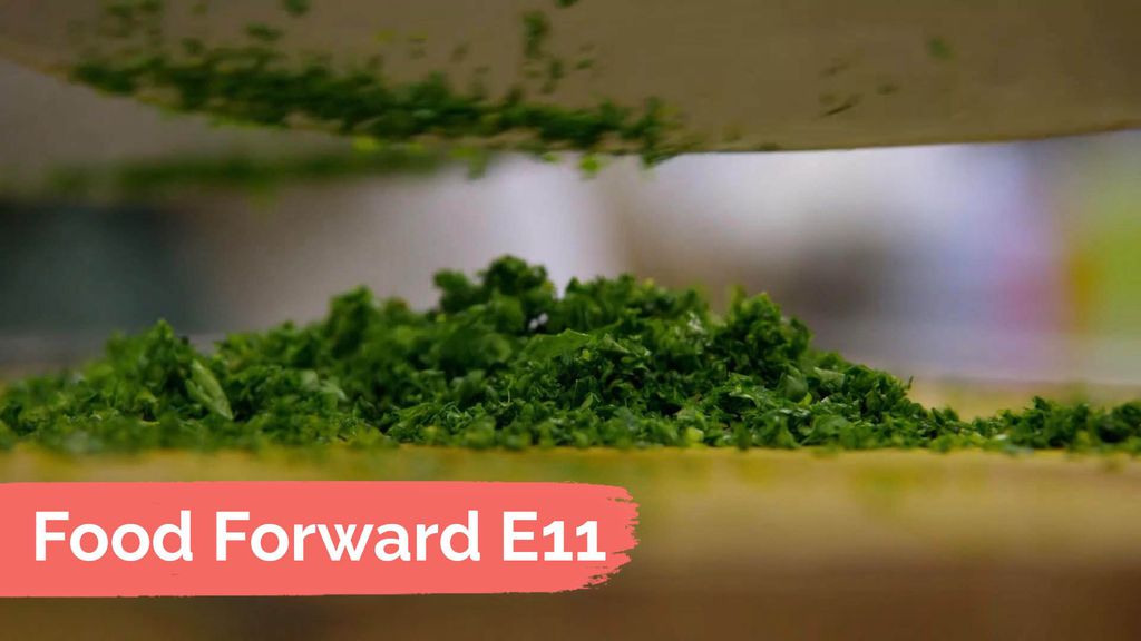 Food Forward E11