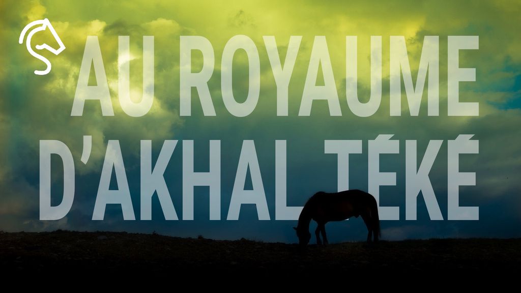 Au royaume d'Akhal Téké, les écuries extraordinaires du Turkménistan.