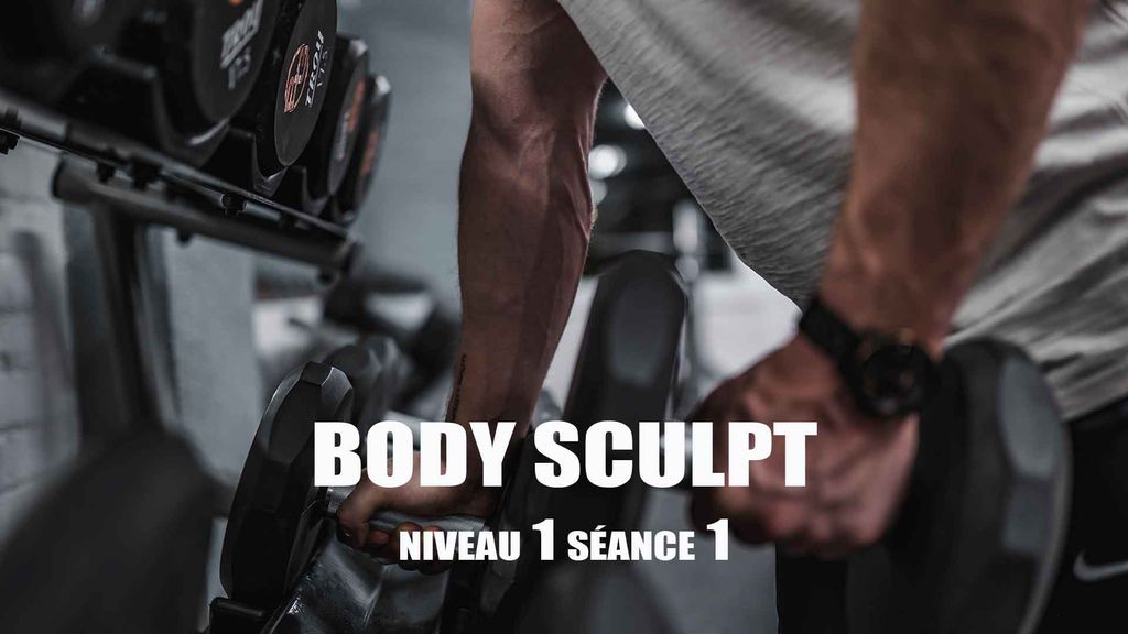 Body Sculpt - niv1 séance 1
