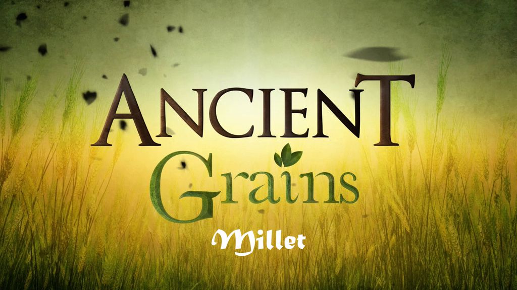 Ancient Grains - Millet