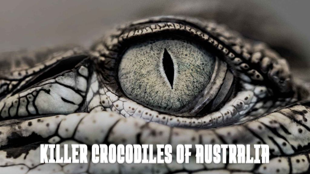 Killer Crocodiles of Australia