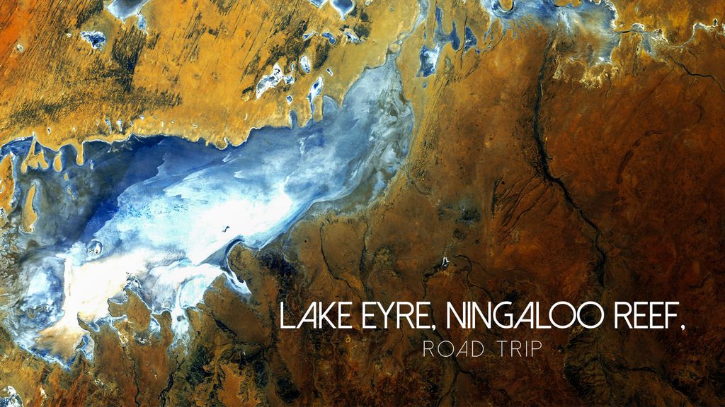 Lake Eyre, Ningaloo Reef, Road Trip