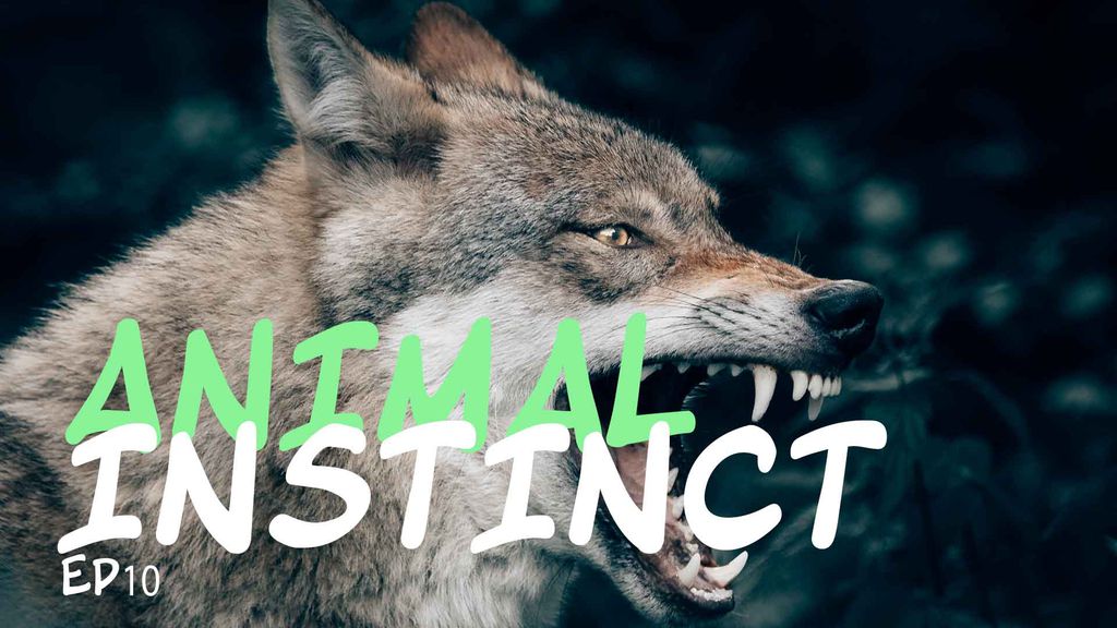 Animal Instinct - Episode 10