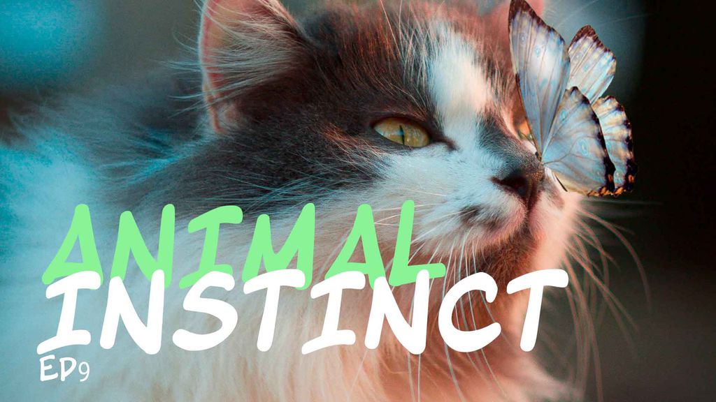 Animal Instinct - Episode 9