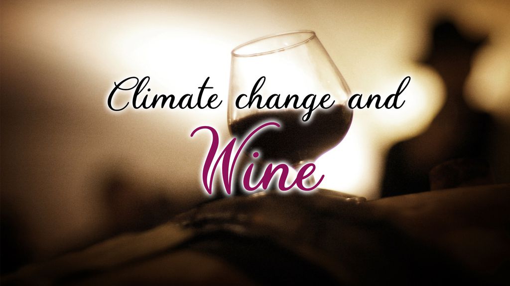Climate change and wine