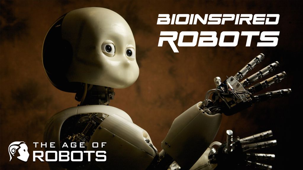 The Age of Robots - Bioinspired Robots
