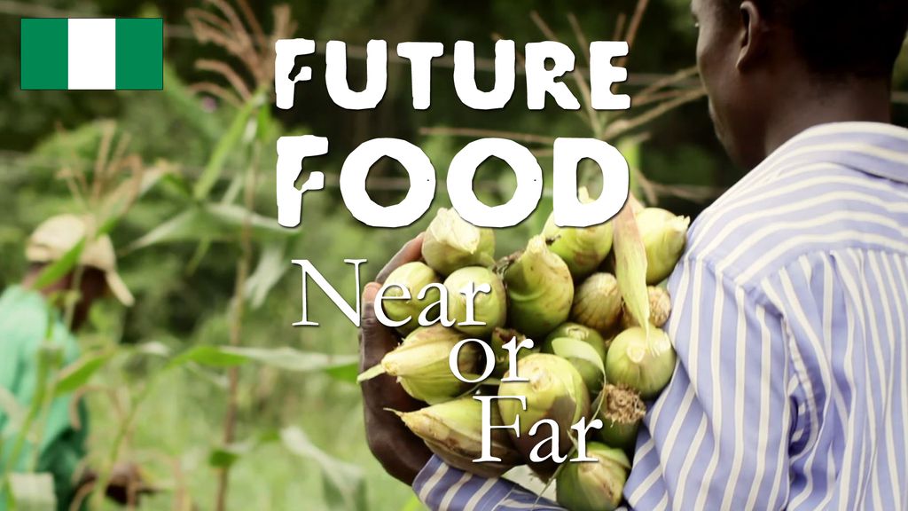 Future Food - Nigeria : Near or Far