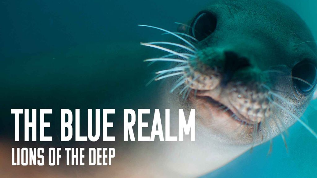 The Blue Realm - Lions of the Deep