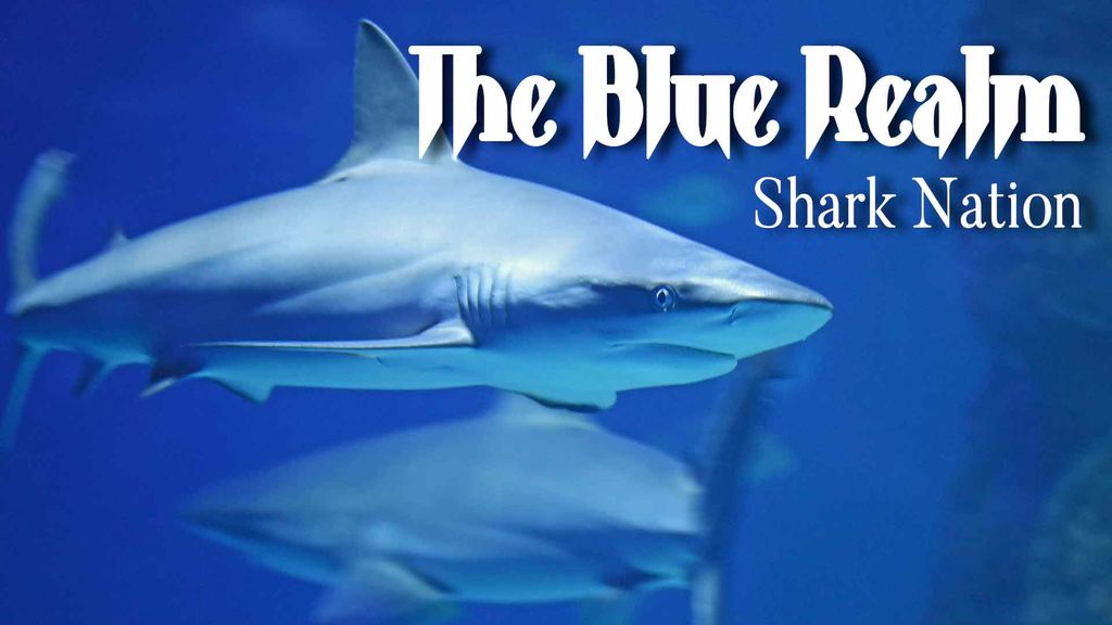 The Blue Realm - Shark Nation