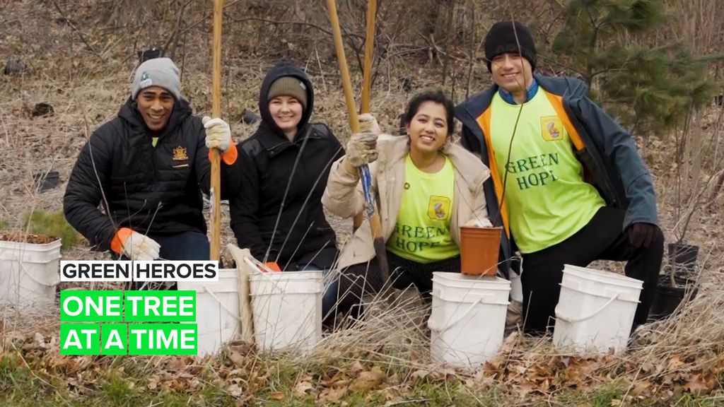 Green Heroes: Sometimes all it takes is planting a tree