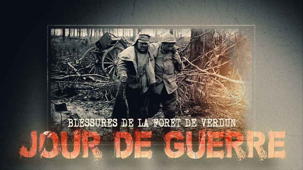JDG 14 - Blessures de la forêt de Verdun