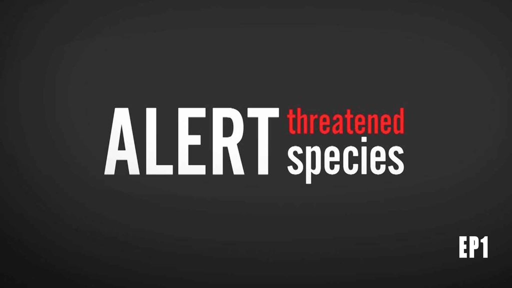 ALERT - Threatened species EP 1