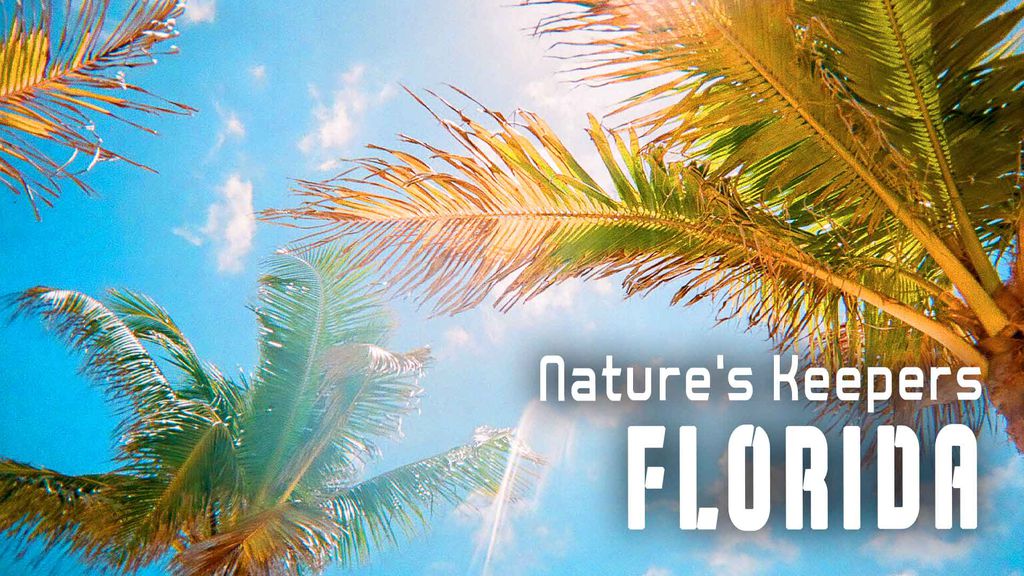 Nature's Keepers Florida