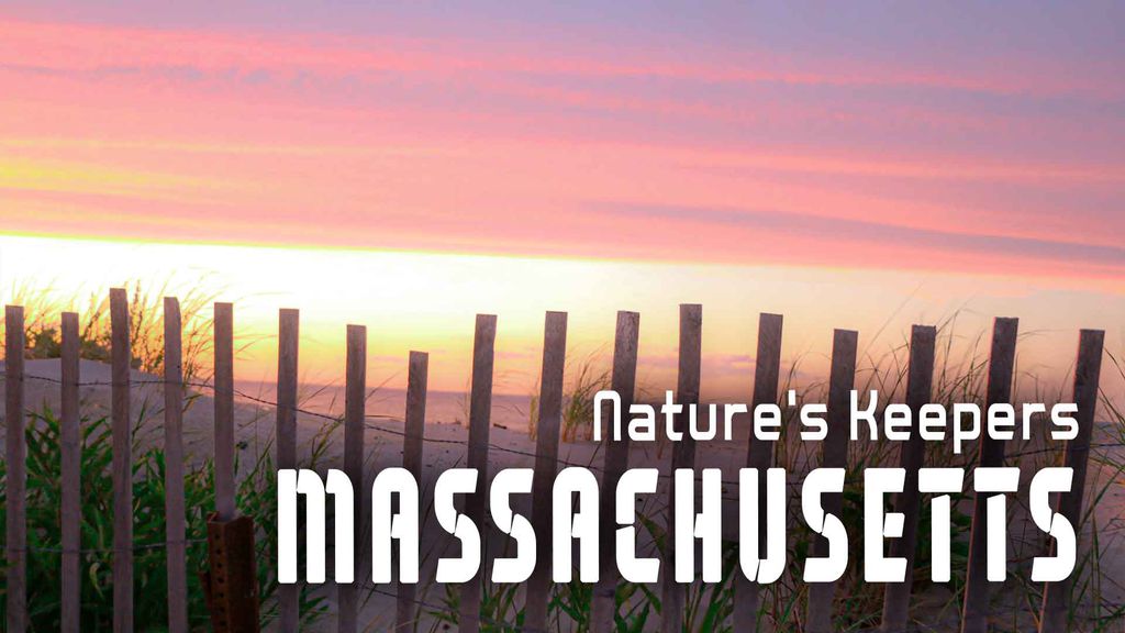 Nature's Keepers Massachusetts