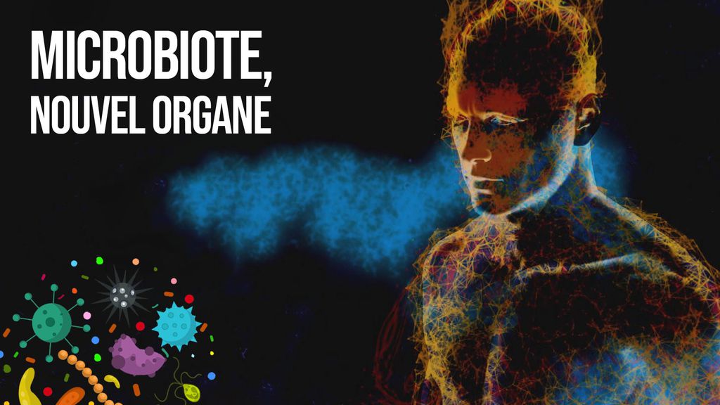Microbiote, nouvel organe
