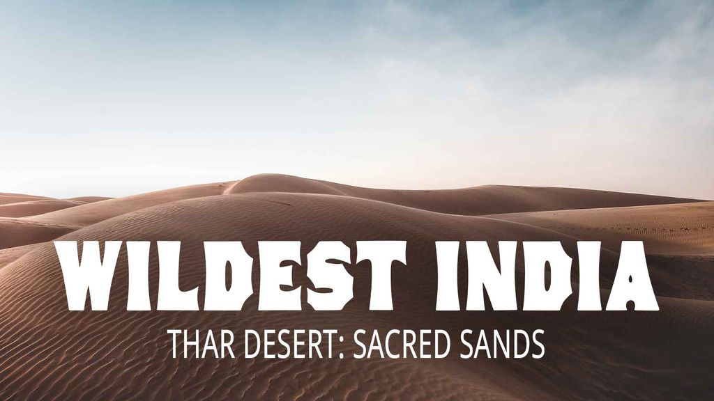 Wildest India - Thar Desert: Sacred Sands