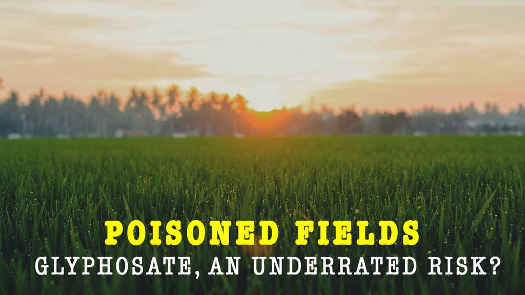 Poisoned Fields - Glyphosate, an underrated risk?