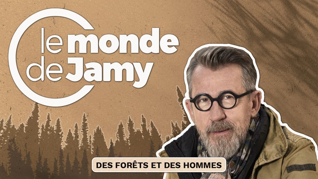 Le Monde de Jamy - Episode 5 : Des forêts et des hommes