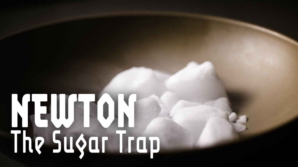 NEWTON - The Sugar Trap 