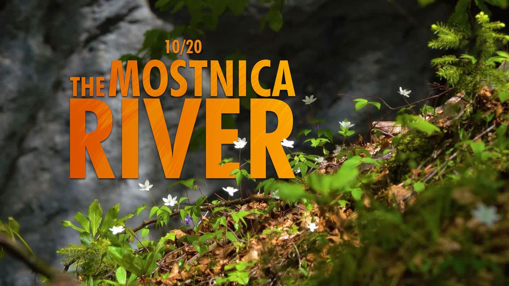 La rivière Mostnica - 10/20