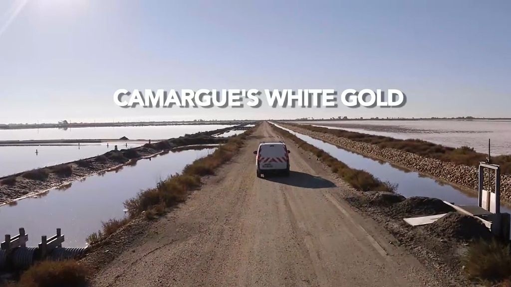 Camargue's White Gold