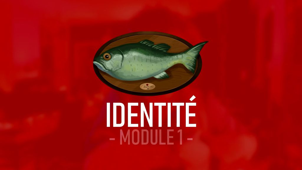 Module 1.6 : IDENTITE