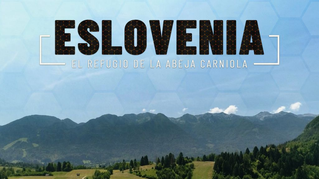 Eslovenia: el refugio de la abeja carniola