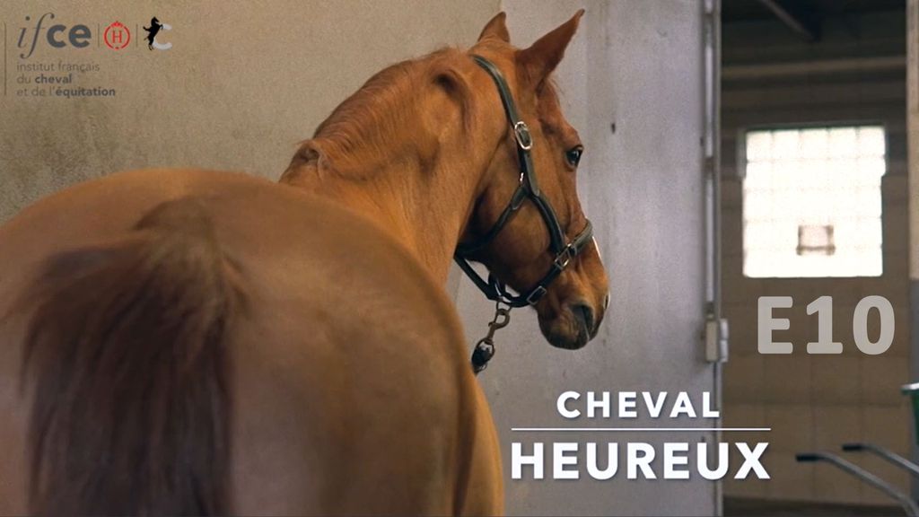 Cheval Heureux S1 E10