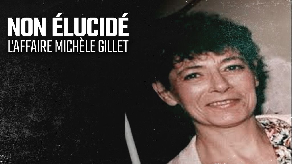 L'Affaire Michèle Gillet