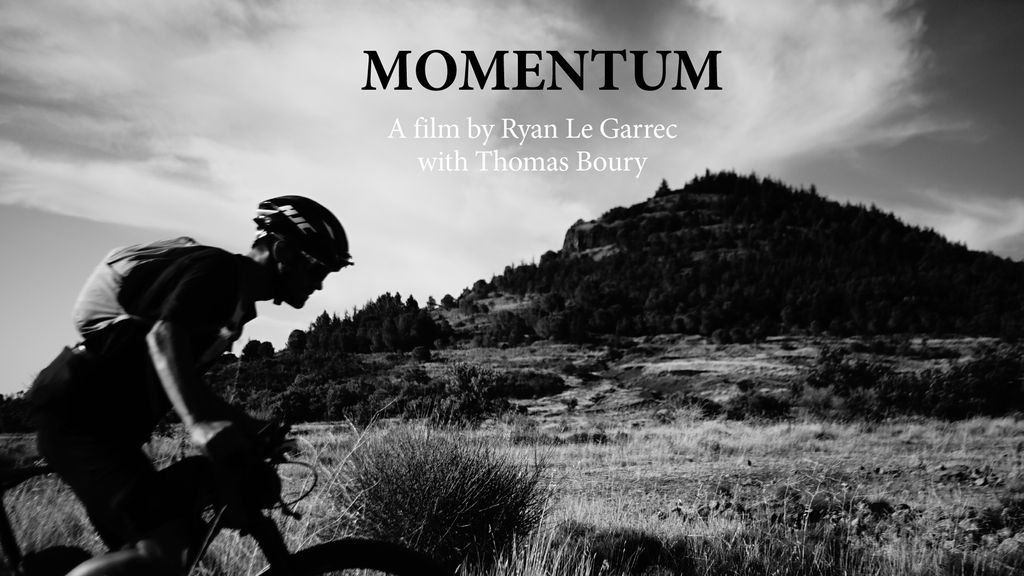 Momentum