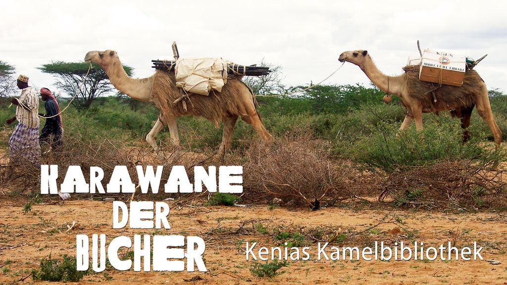 Karawane der Bücher: Kenias Kamelbibliothek