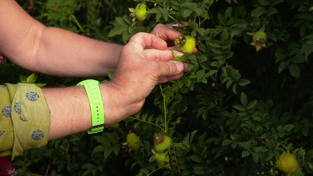 Jardins et Loisirs - 2018 E32 - Le potager du Triage