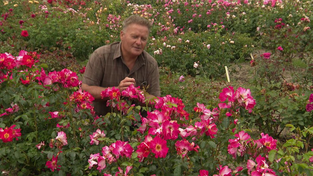 Jardins et Loisirs - 2018 E40 - Les potagers de Villandry