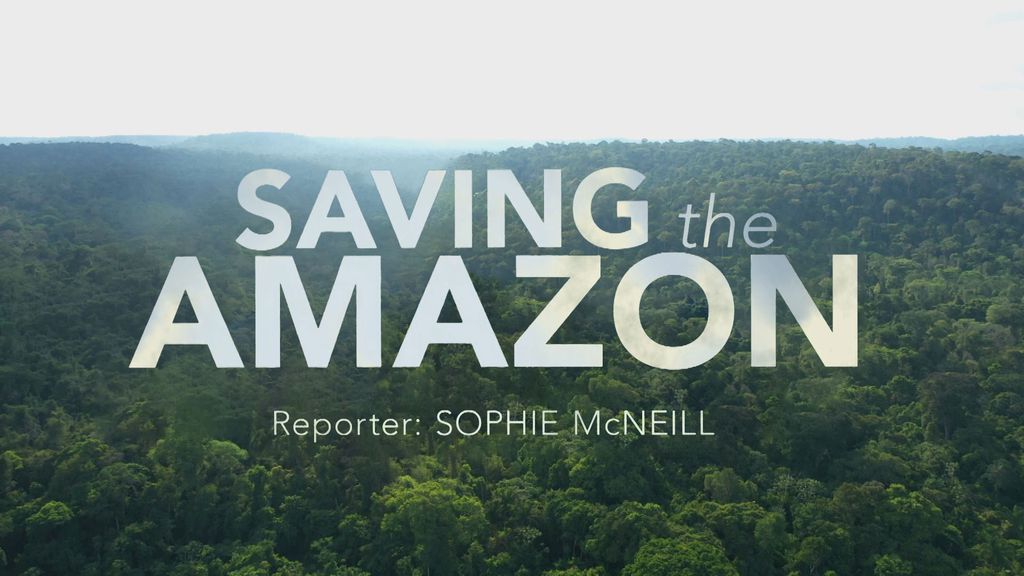 Saving the Amazon