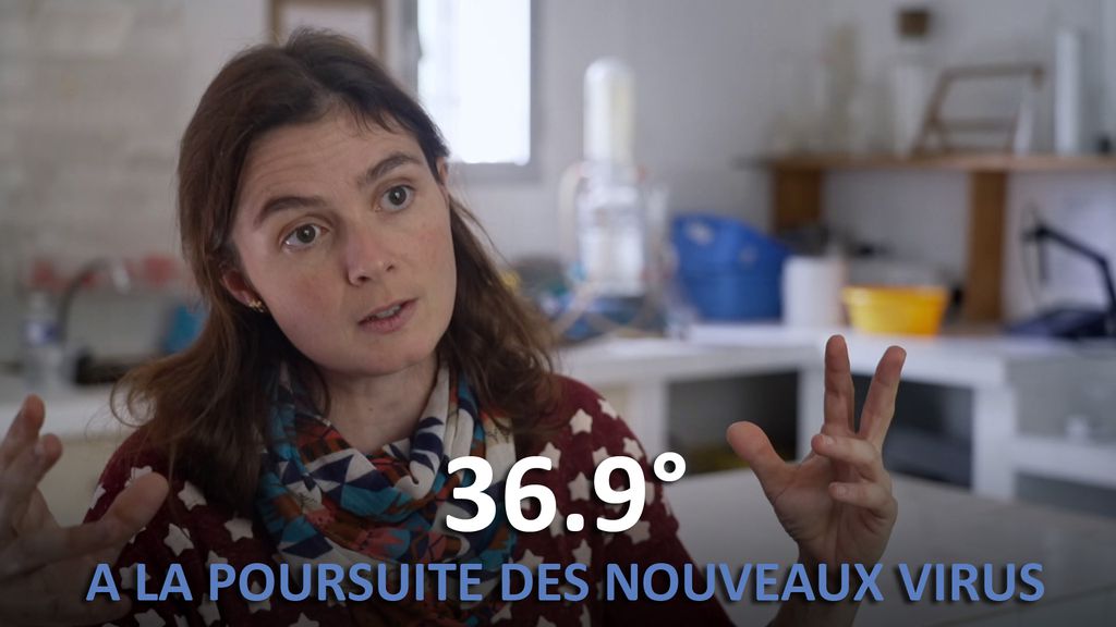 36.9° A la poursuite des nouveaux virus