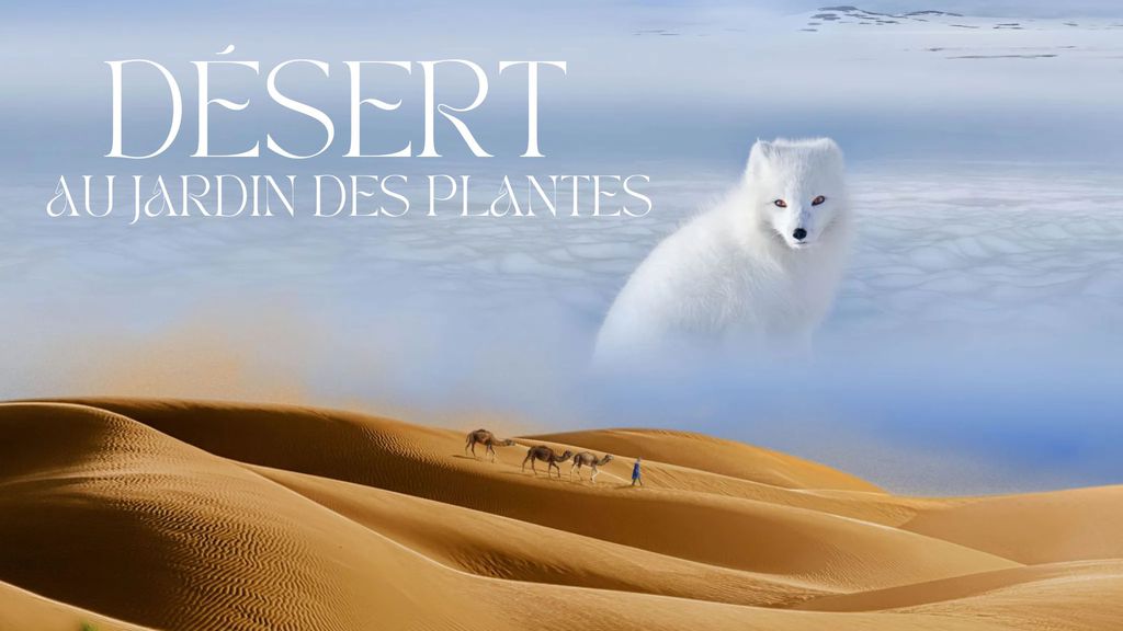 EITV POUR DÉSERT AU JARDIN DES PLANTES