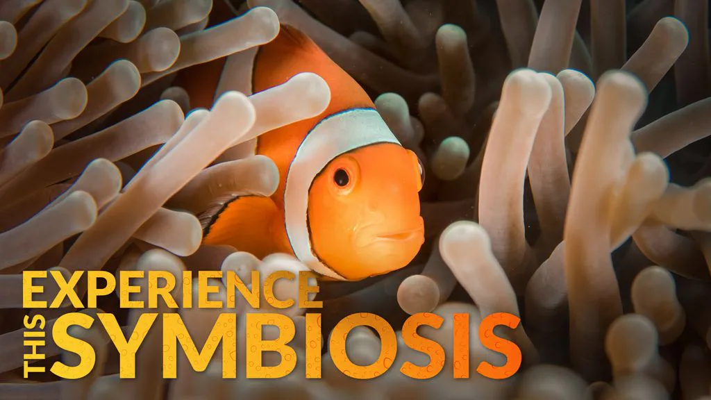 Vivez cette symbiose