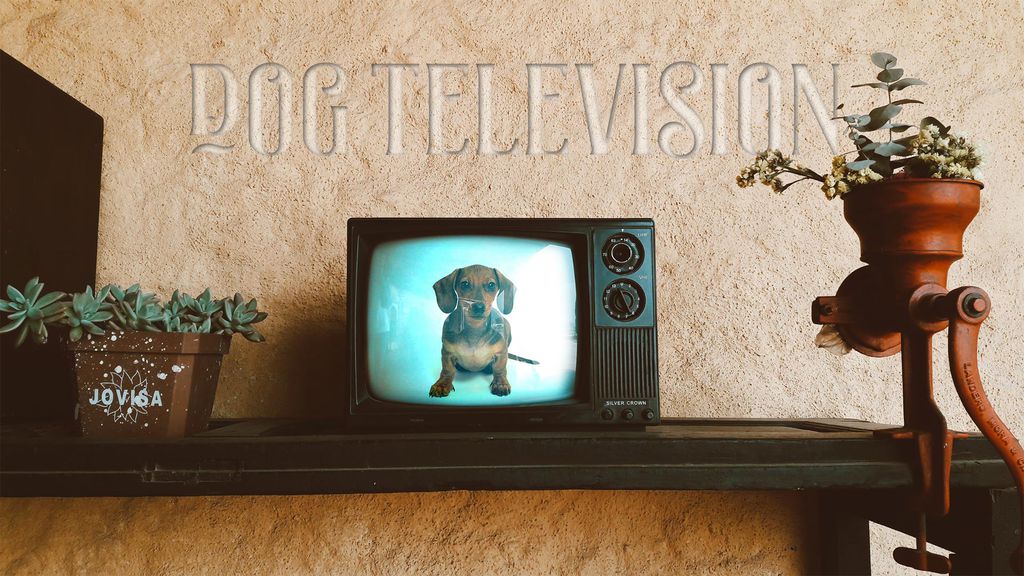 La TV qui a du chien