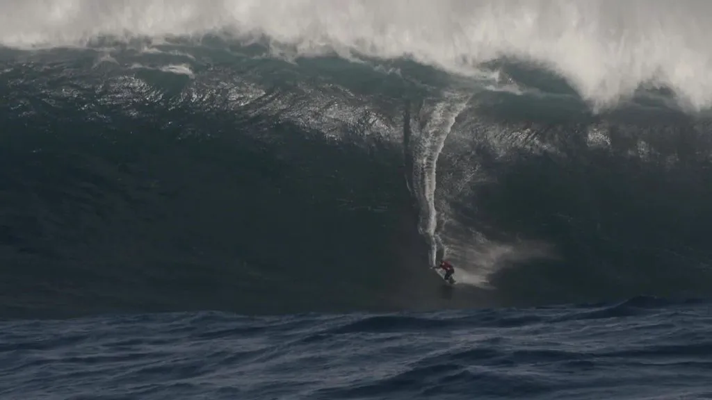 Bone Breaking Cow Bombie