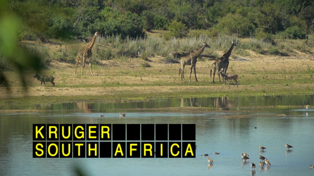 Krueger, South Africa