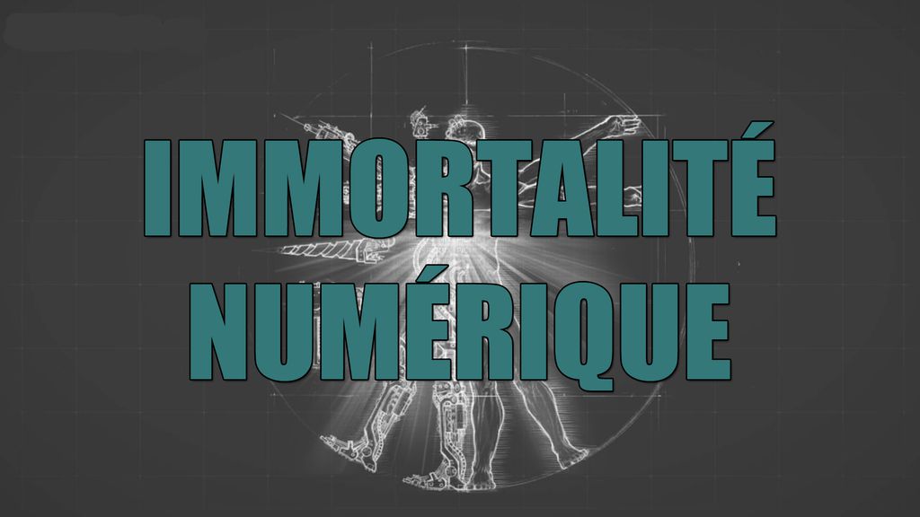 Immortalité Numérique