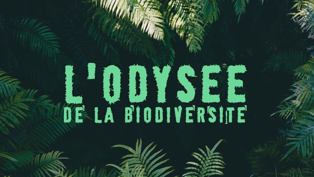L'odyssée de la biodiversité
