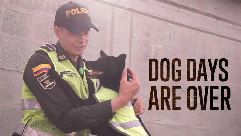 Pereira's Canine Guardians